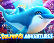 Dolphin`s Adventure